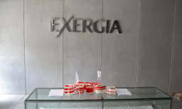 Viseiras Exergia